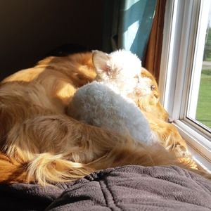 Meet your Posher, Patty